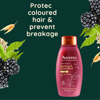 Picture of Aveeno Colour Protect+ Blackberry & Quinoa Blend Shampoo 354ml